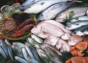 برگزاری نمایشگاه بین المللی شیلات و غذاهای دریایی چین (گوانجو)