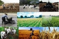 بخشودگی سود و کارمزد و جریمه وامهای دریافتی کشاورزان خسارت دیده