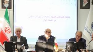 محمود تولایی:  نیروی کار مهاجر در ایران باید ساماندهی شود