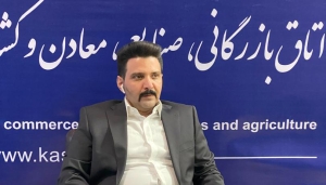 حسین مهدی زاد: تعطیلی پنجشنبه‌ها مانع افزایش صادرات است