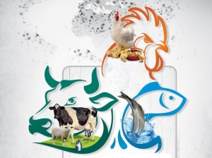 برگزاری نمایشگاه تخصصی صنعت دام،طیور،شیلات و آبزیان در هرات افغانستان
