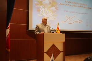 تولایی : در عرصه اقتصاد با تعاونی ها می توان کارهای بزرگ انجام داد.